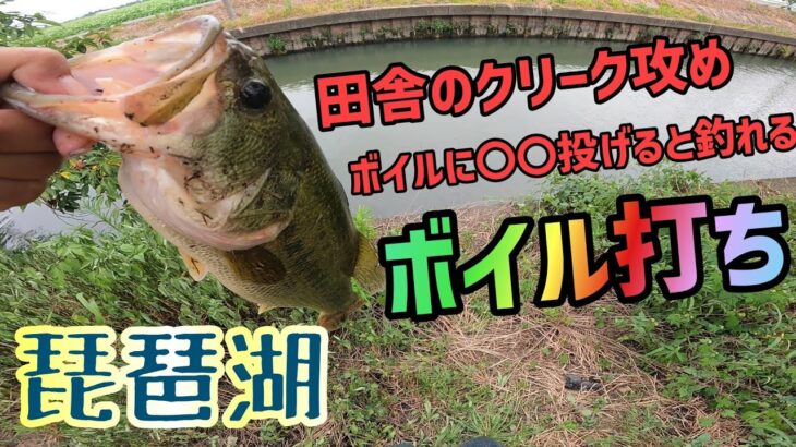 バスが溜まる場所でボイル打ち！田舎の水路でボイルが発生！琵琶湖内湖の水路は夏はバスだらけ！今年発売のdepsのMSグラブを試す！更にいつものDSTYLEのSVSBやっぱ釣れる【琵琶湖バス釣り】