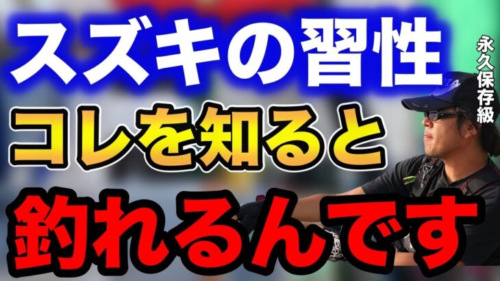 【村岡昌憲】シーバス(スズキ)の習性コレを知ると釣れるんです！！【fishing 釣り 村岡昌憲 切り抜き ルアー釣り シーバス ノット リール】