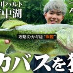 【バス釣り】秋の府中湖 デカバスを狙う 石川ハルト【fishing vibes】