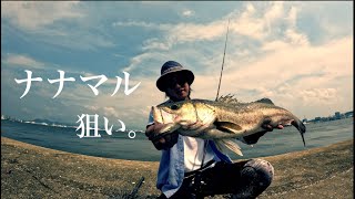 シーバス釣り　〜狙うは７０over‼︎編〜