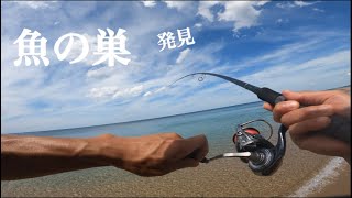 誰もいないサーフで座布団ヒラメを狙ったら魚の巣を見つけてしまった