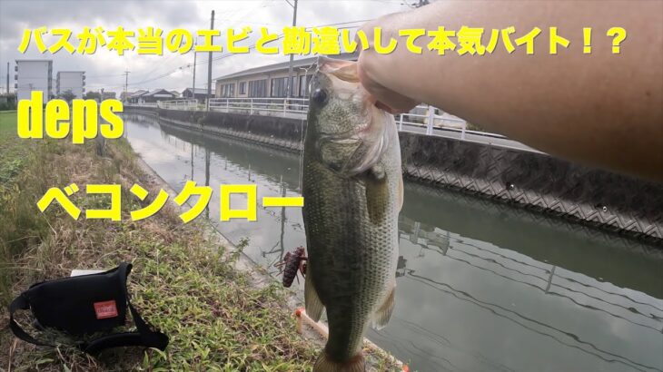 【バス釣り】やる気のないデカバスが本気バイト！？【ブラックバス】