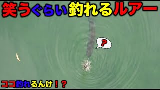 【バス釣り】デカバスが興味津々で食うてくるルアー！？投げれば釣れるってホンマか？