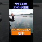 【今すぐ上達！】エギングのサイトフィッシングの基本