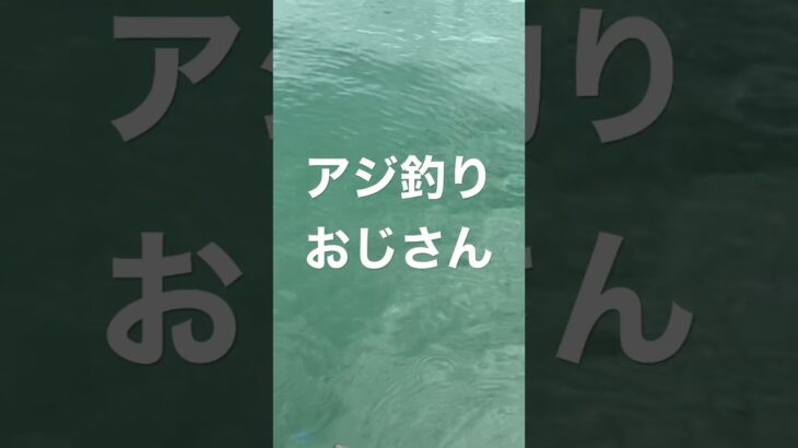 アジのサビキ釣りしてみたよ