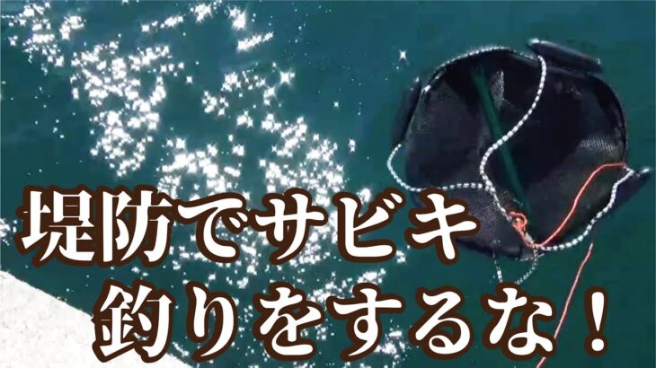 堤防でサビキ釣りがダメなときの大物が釣れるやり方とは！？