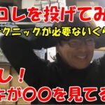 【シーバス】秋におススメ！テクニック不要の簡単ルアー【村岡昌憲】