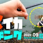 秋の【アオリイカ】シーズン到来！日本海の秋イカエギング。台風後の福井県若狭湾を釣る！