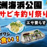 若洲海浜公園 入れ食い！エサ要らず！秋のサビキ釣り祭り！ – イワシ サバ 豆アジ など多魚種編 –