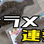 北東爆風サーフでヒラメが連発！！しっかり解説します