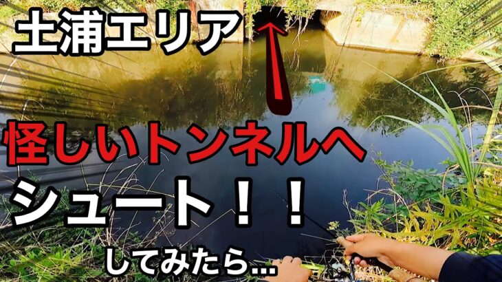 土浦エリアに存在する怪しいトンネルにシュート決めたら…【霞ヶ浦　バス釣り】