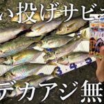 【サビキをちょい投げするだけ！】通い詰めた釣り場で尺アジの釣果が無双状態になりました