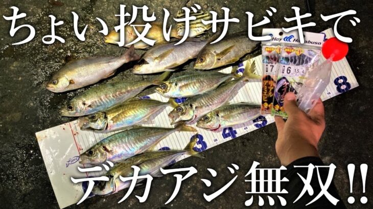 【サビキをちょい投げするだけ！】通い詰めた釣り場で尺アジの釣果が無双状態になりました