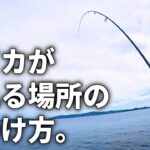 秋イカエギングの爆釣ポイント探しで絶対忘れてはいけない場所はココです。