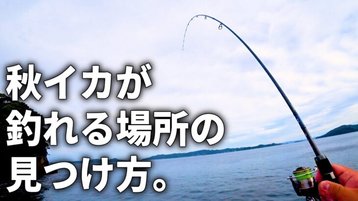 秋イカエギングの爆釣ポイント探しで絶対忘れてはいけない場所はココです。