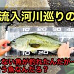 北浦流入河川巡りの旅【バス釣り】