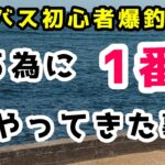 【シーバス初心者爆釣講座】僕らが釣果を出せる一番の理由！ポイントを探し求めて三千里。