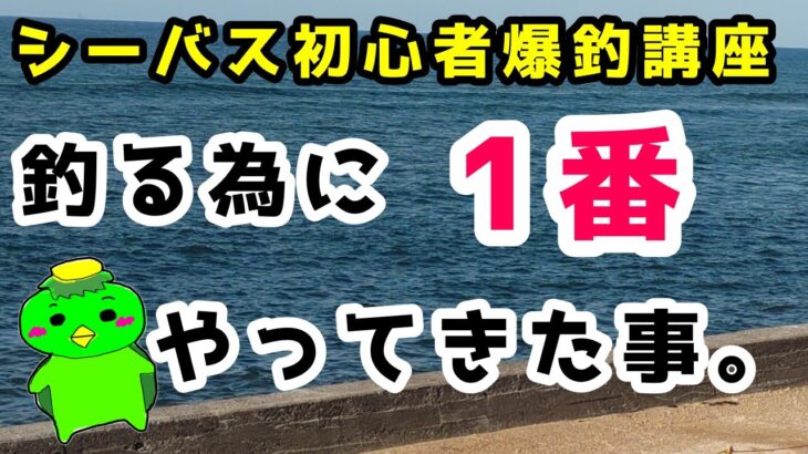 【シーバス初心者爆釣講座】僕らが釣果を出せる一番の理由！ポイントを探し求めて三千里。