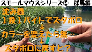 【川スモールマウスバス釣り　シリーズ⑳　群馬編】沈み蟲でスモールが好きなカラーはこれよ♡逆に反応なかったのは…