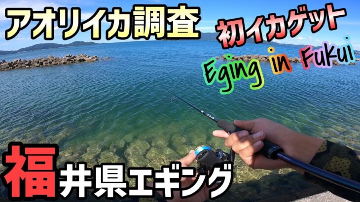 【福井県釣り】福井オカッパリエギングの旅！若狭湾でエギングとジギング一日釣行！今年初のイカをゲット！いつもは筏釣りで簡単に釣れるがおかっぱりは！？福井釣り場調査！最後に琵琶湖北湖西岸調査も！