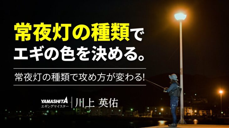 夜のエギングで人気のポイントである”常夜灯” ～常夜灯下での攻め方とは～