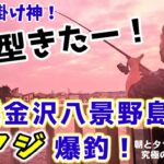 【金アジ爆釣仕掛け】横浜で朝と夕方サビキ釣りと泳がせ調査！絶品タルタルソースと究極のアジフライ。秋の金沢八景野島公園釣果速報