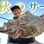 初秋のサーフゲーム。今のヒラメはコ〇〇〇を捕食してます！