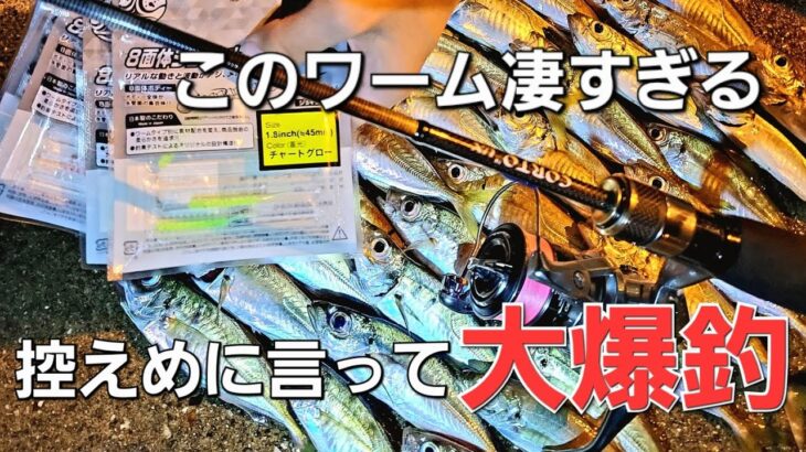 【アジング】即買い確定。このワームで大爆釣！信じられないくらい楽しめる激安アジングワームでした。