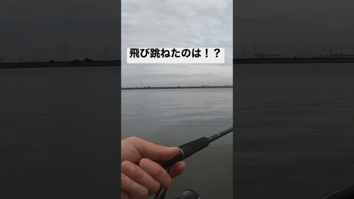 シーバス釣りにて。