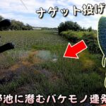 ナゲットみたいなルアー（ワーム）を投げたら野池に潜むバケモノ（怪魚）が荒れ狂うように連発爆釣【ブラックバス・ライギョ釣り】