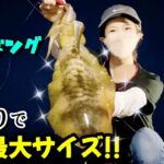 【エギング】良型アオリイカの数釣り!! 今季最大サイズを釣り上げる♡