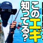 このエギがやばい。魚もイカも同時に釣るエギングが存在した。