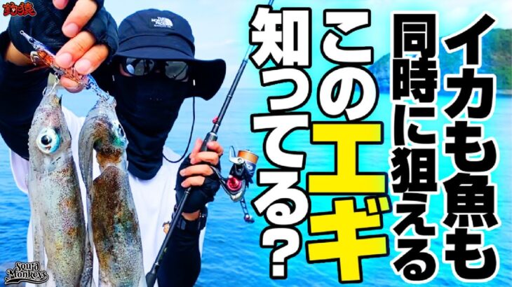 このエギがやばい。魚もイカも同時に釣るエギングが存在した。