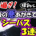 【シーバス３連発！】スゴ過ぎる…最後の悪あがきでシーバス３連発。