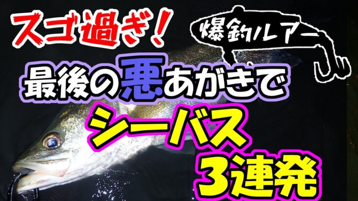 【シーバス３連発！】スゴ過ぎる…最後の悪あがきでシーバス３連発。