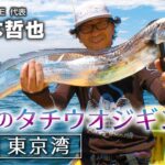 夏のタチウオジギング・東京湾