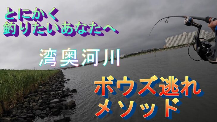 とにかく釣りたいあなたへ　湾奥河川ボウズ逃れメソッド