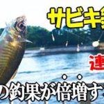 アジの釣果が倍増する最強のサビキ釣りはこれだ！この竿とサビキの組み合わせでアジが連発！２種類のサビキを試して分かった！