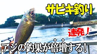 アジの釣果が倍増する最強のサビキ釣りはこれだ！この竿とサビキの組み合わせでアジが連発！２種類のサビキを試して分かった！