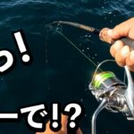 ジギング船でミノーを投げたらヤバいのが釣れた！