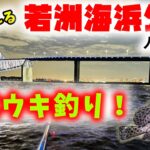 若洲海浜公園 色々釣れる電気ウキ釣り！ 人工磯編 – シーバス、コショウダイ、チヌ 等