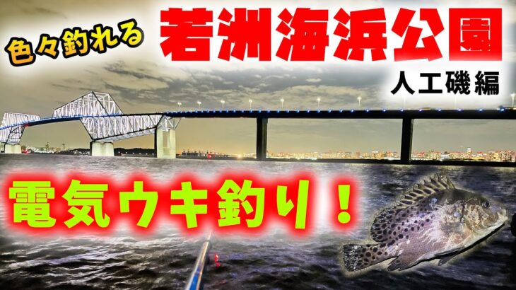 若洲海浜公園 色々釣れる電気ウキ釣り！ 人工磯編 – シーバス、コショウダイ、チヌ 等