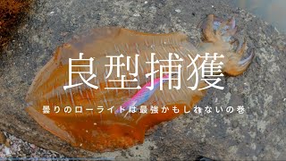 【エギング】こんな釣り方も有りなんです！