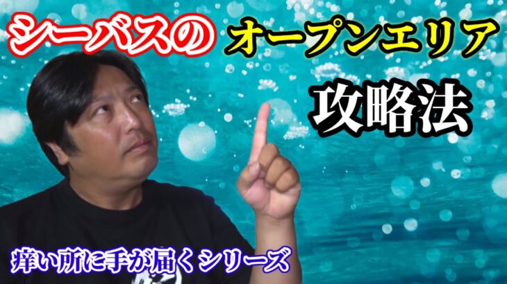 オープンエリアでシーバスが釣れない方釣り方と釣れない理由