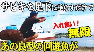 立ち寄った堤防にサビキを垂らしたら良型回遊魚が無限に入れ食い！最強で極小のサビキを使ったら無限で大漁に釣れて止まらなかった！食います