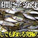 昼間から足下のサビキでアジが入れ食いで止まらなかった！エサ無しでも強力アピールでアジが釣れる究極のサビキにエサを擦ったら・・・