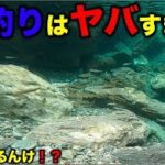 【バス釣り】死ぬほどおもろい釣りがあった！誰でも絶対釣れてまう！コレが落ち鮎パワー