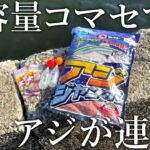 アジ釣り専用コマセでアジが連発！アジジャンボを使った軽量ぶっこみサビキ釣りを紹介します