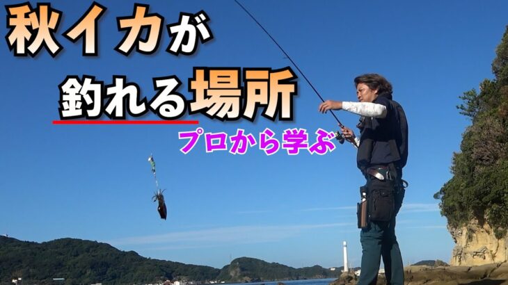 秋エギングで釣れない？イカがいる場所や釣れる時間の見分け方！渋い時でもイカの付く場所を考えると…