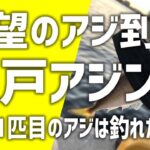 ついに八戸にアジ到来！久しぶりのアジングでサバ祭り！アジは釣れるのか！？ソゲ（ヒラメ）おまけ動画付き＠青森アジング